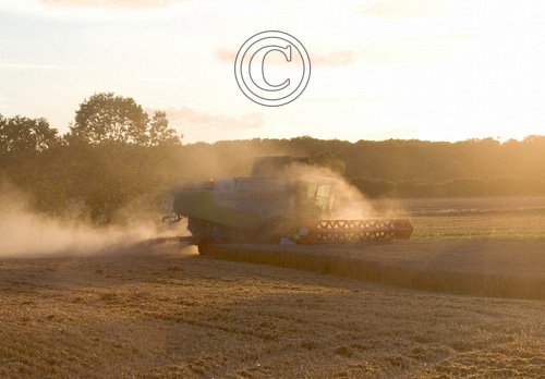 Combining Wheat DM1251